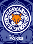 The Foxes Image-large